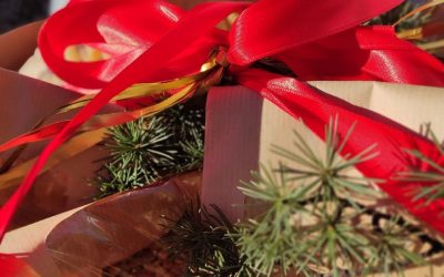 Pacchi di Natale 2025