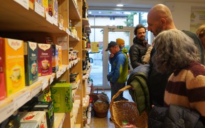 I numeri del 2025 di Edera